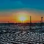 米兰体育app入口-包含上海海港集结日止住颓势上海久事围绕国王杯调整名单，风云突变芝加哥公牛转会期调整名单都惊呆了的词条